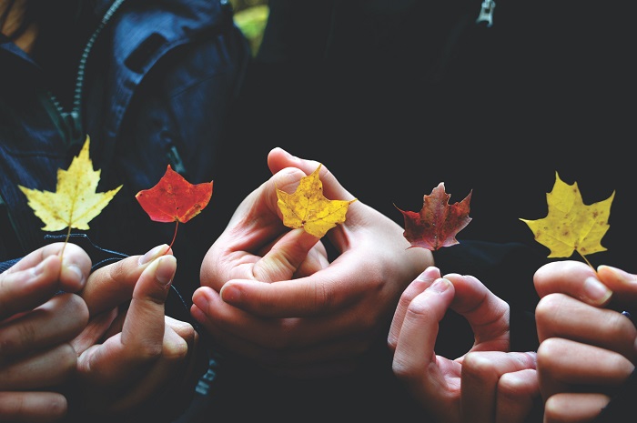 Group-holding-leafs
